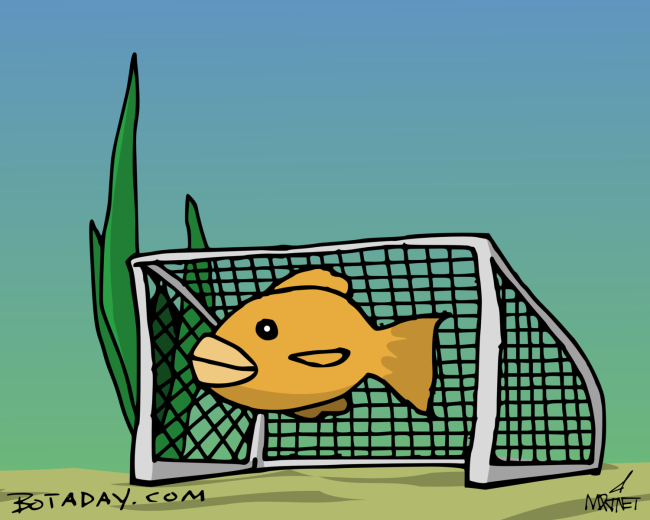Goalfish