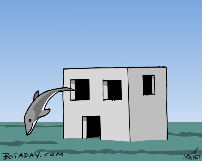 Dolphinestration