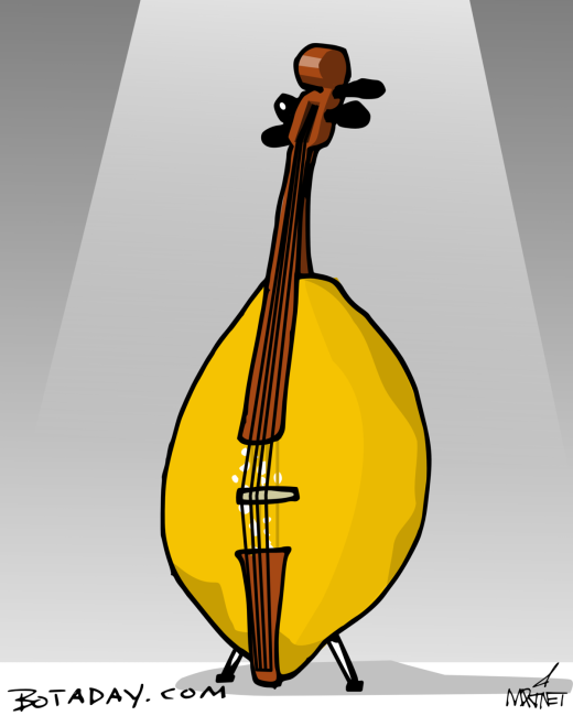 Lemon Cello