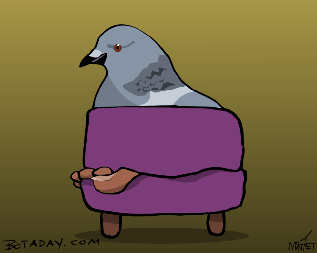 Footstool Pigeon