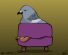 Footstool Pigeon