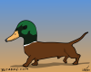 Duckshund