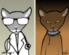 Dr Kitty & Mr Cat