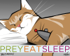 Prey Eat Sleep